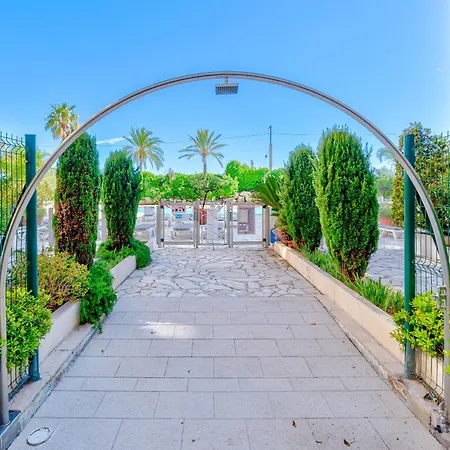 La Palme D'azur - * カンヌ