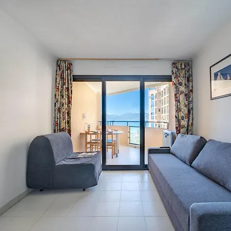 La Palme D'azur Cannes